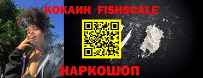 прущие грибы Сланцы