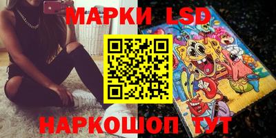 прущие грибы Сланцы