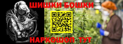 прущие грибы Сланцы