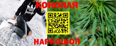прущие грибы Сланцы