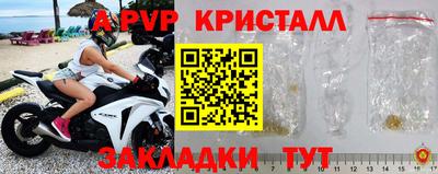 прущие грибы Сланцы