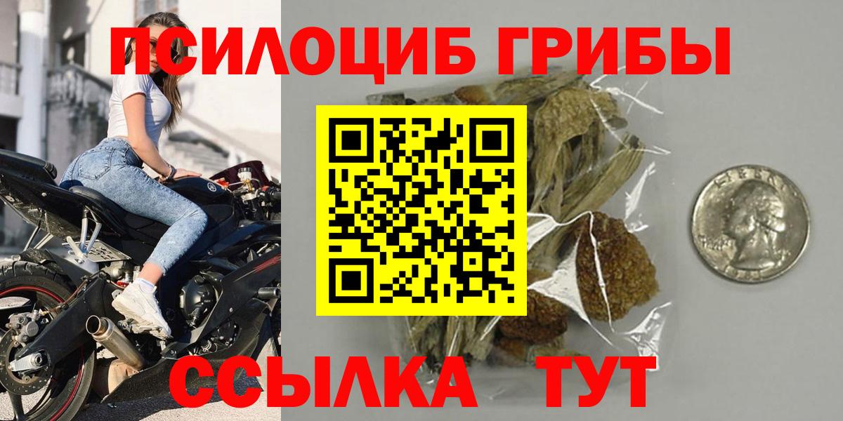 Оренбург  наркота  Вход с VPN  Галлюциногенные грибы MAGIC MUSHROOMS 
